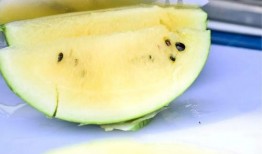 香港网红吃瓜图片大全,趣味瞬间大盘点