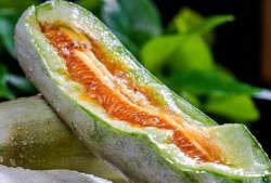 全网吃瓜网红有哪些名字,揭秘各路“瓜农”的传奇故事