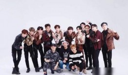 孙莉圈内人爆料了吗视频,揭秘娱乐圈背后真相