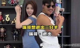 小胖夫妇事件爆料视频播放,揭秘网络爆料的背后真相