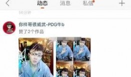 丰哥生活爆料视频大全,揭秘日常生活中的趣味瞬间