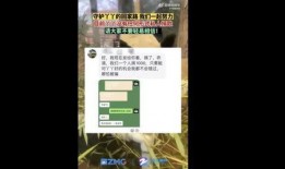 中国蓝新闻怎么发爆料,轻松一键，见证正义