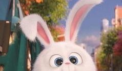 爱宠大机密1在线观看,欢乐逗趣在线观看！