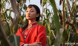 红高粱电影版在线观看,激情燃烧的岁月，热血沸腾的传奇