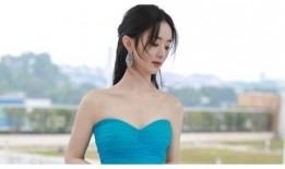 娱乐大爆料刘畅,揭秘明星幕后故事