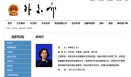 蒋小燕最新爆料新闻视频,揭秘事件背后惊人真相！