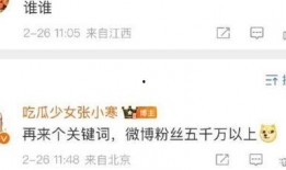 顶流最新爆料,最新爆料背后的惊人真相