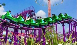 欢乐谷爆料事故最新消息,紧急调查中，游客安全状况引关注