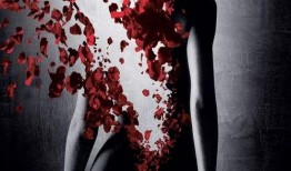 电影香水手机在线观看,探寻神秘香氛背后的传奇故事